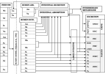 Modeling the Effect of Nutritional Strategies for Dairy Cows on the Composition of Excreta Nitrogen